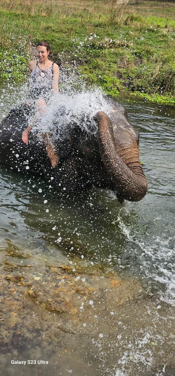 Sisai Park Village Chitwan Eksteriør bilde