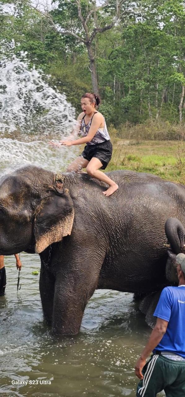 Sisai Park Village Chitwan Eksteriør bilde
